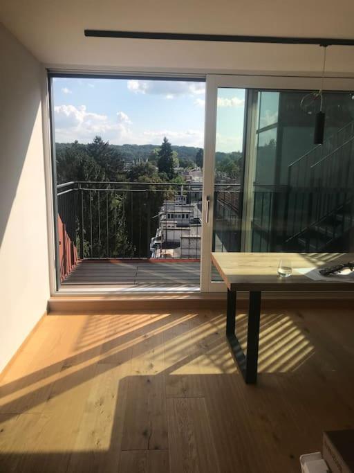 Grosszuegiges Dachterrassen-Appartment Mit Klimaanlage Und Wunderbarem Ausblick Βιέννη Εξωτερικό φωτογραφία