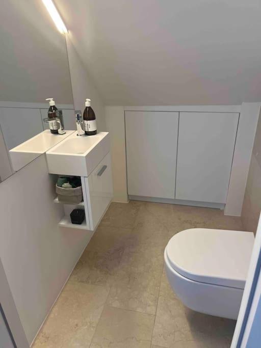 Grosszuegiges Dachterrassen-Appartment Mit Klimaanlage Und Wunderbarem Ausblick Βιέννη Εξωτερικό φωτογραφία